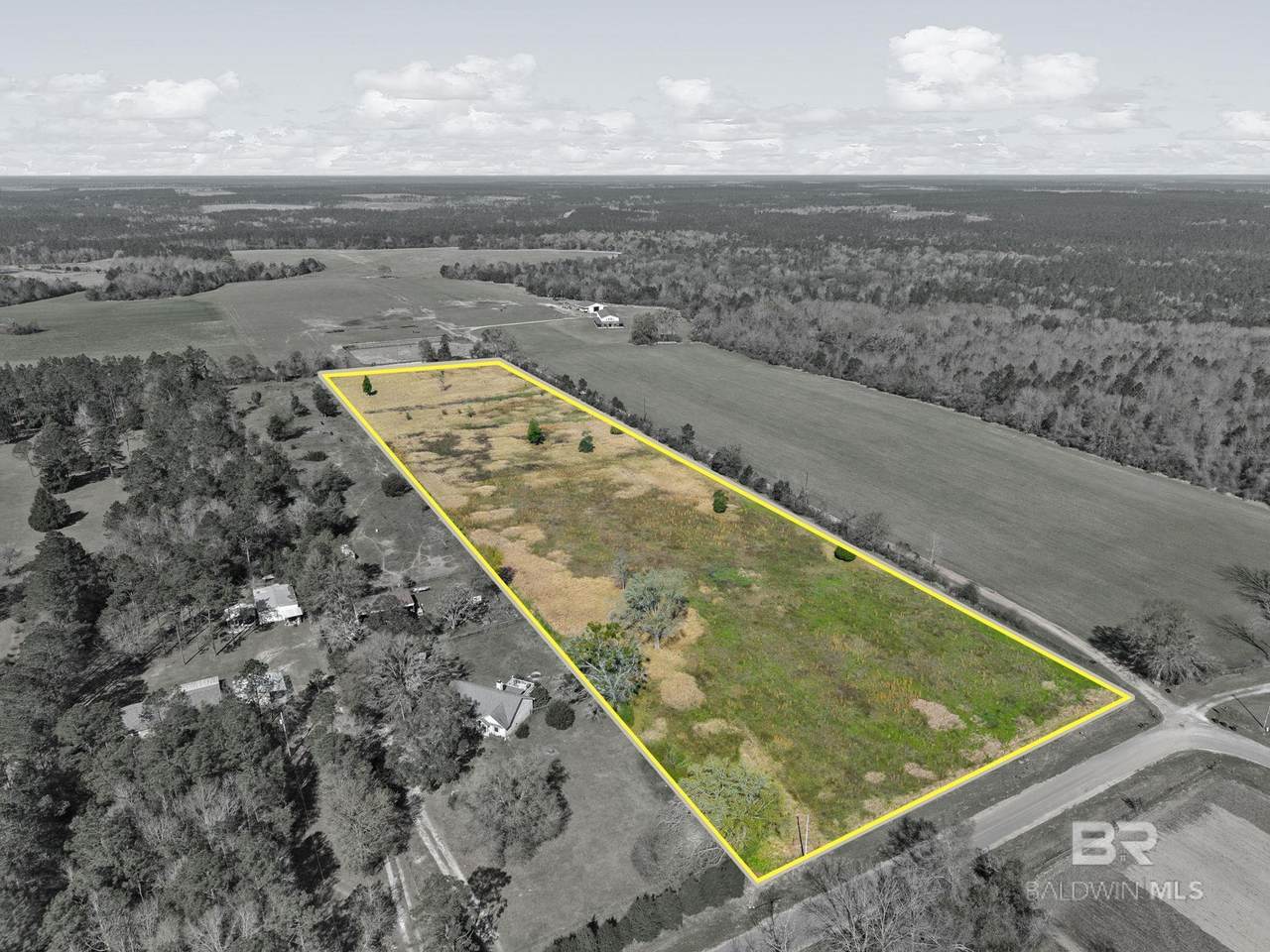 33951 & 33971 Lee Road - Photo 1