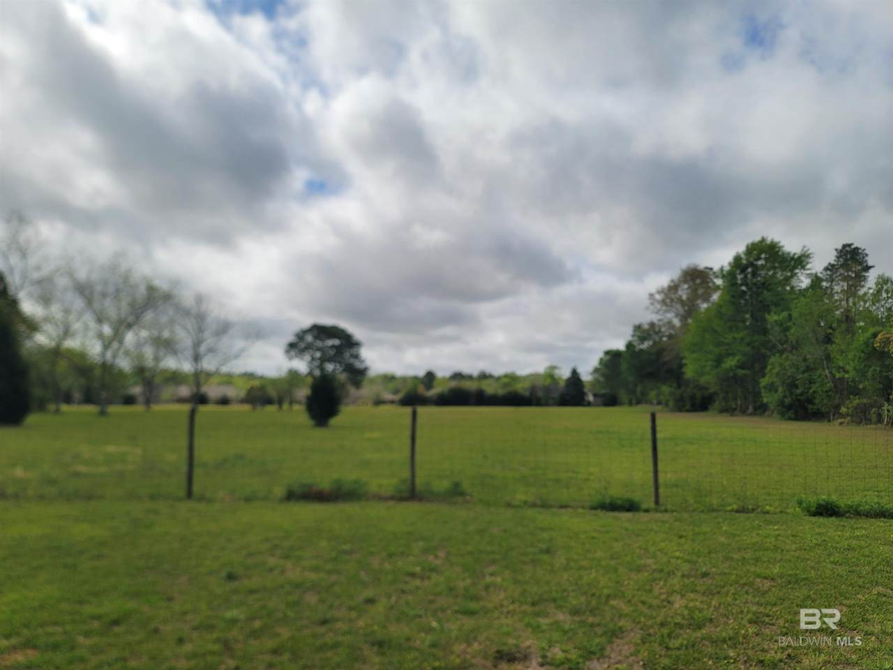 16660 Bogle Lane - Photo 1