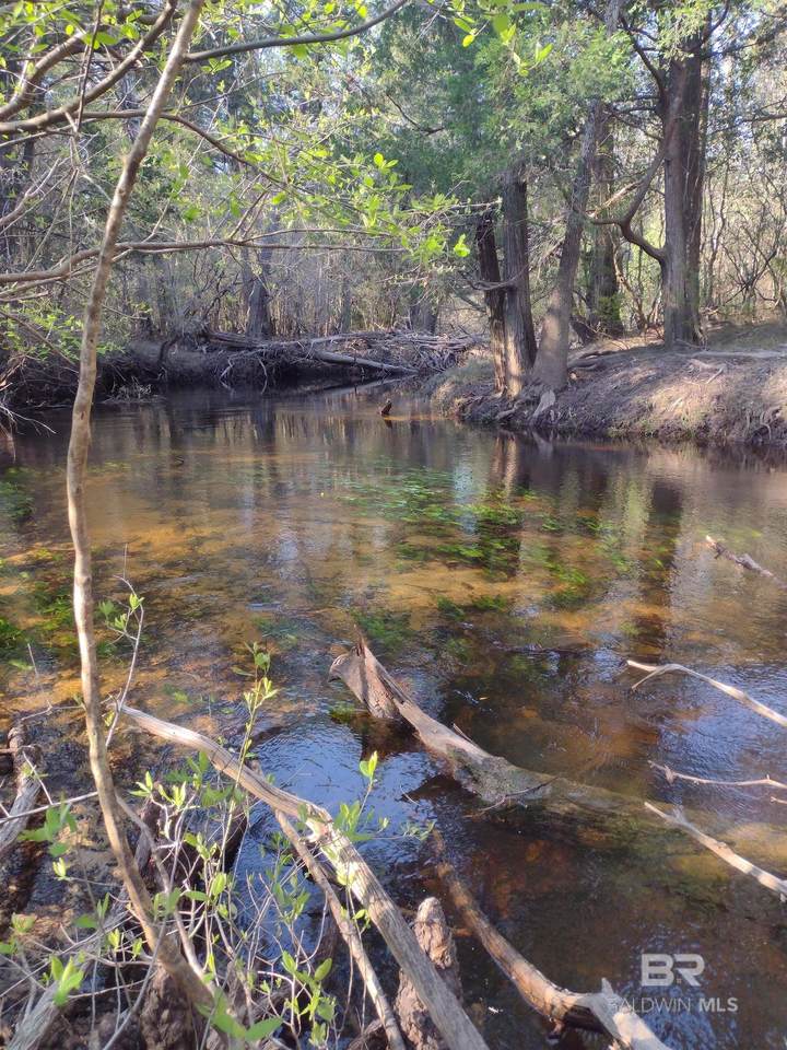 0 Phillipsville Road - Photo 1