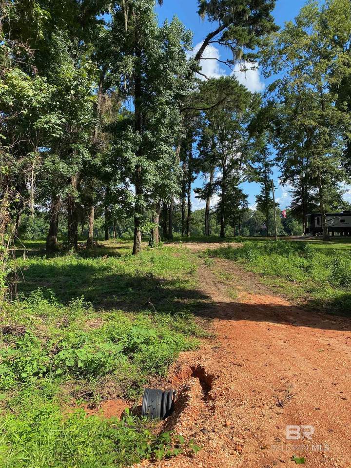 87 Sandy Bottoms Road - Photo 1