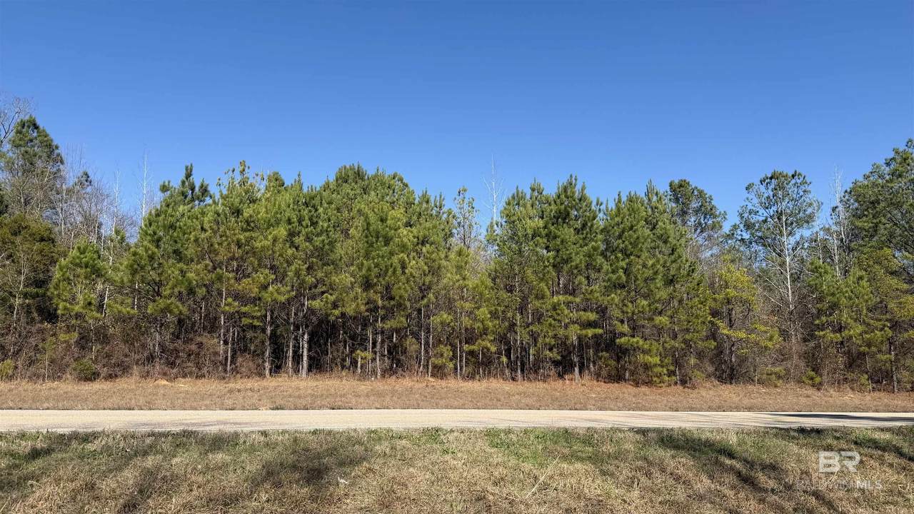 0 Alabama Highway 47 - Photo 1