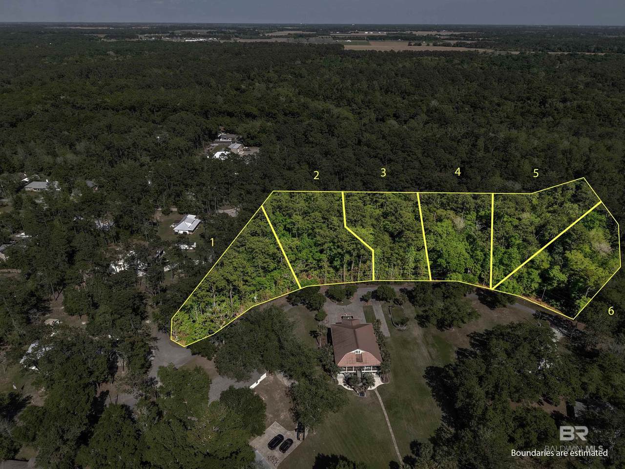 Lot 2 Dogwood Dells Circle - Photo 1