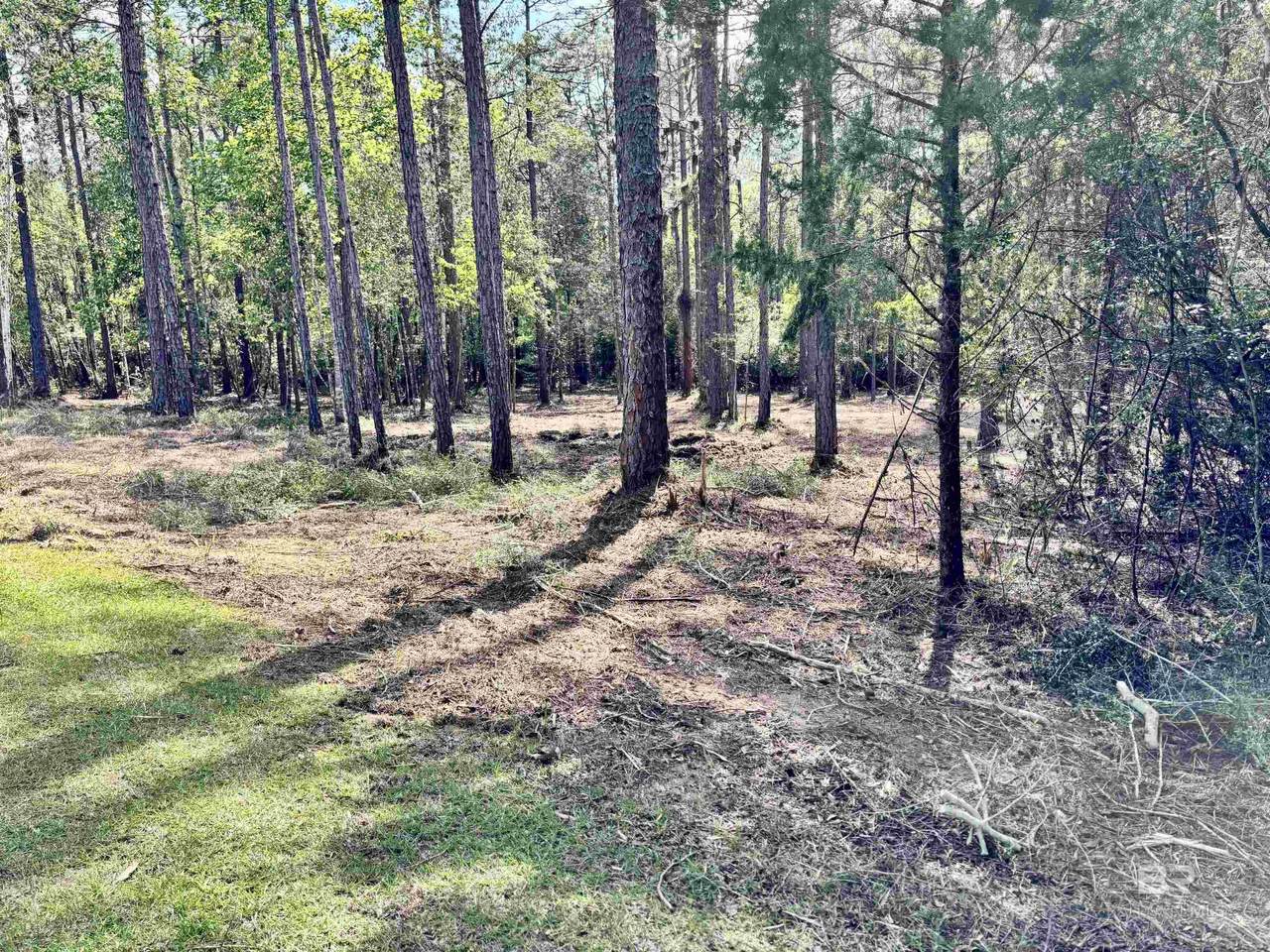 0 Steelwood Ridge Road - Photo 1