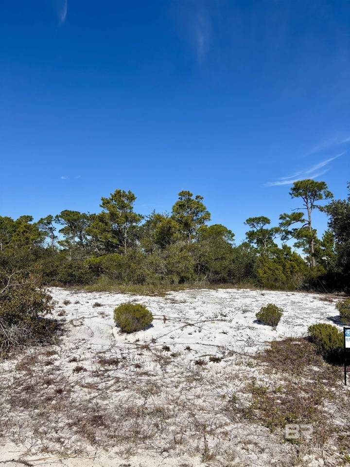 0 River Road - Photo 1