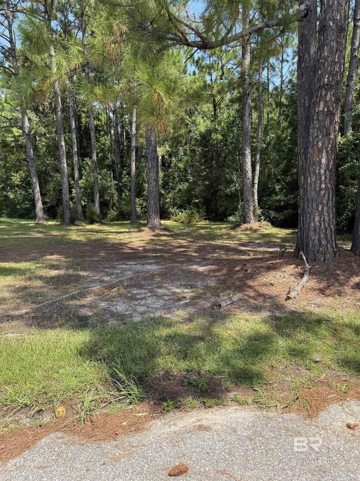  Pompano Drive - Photo 1