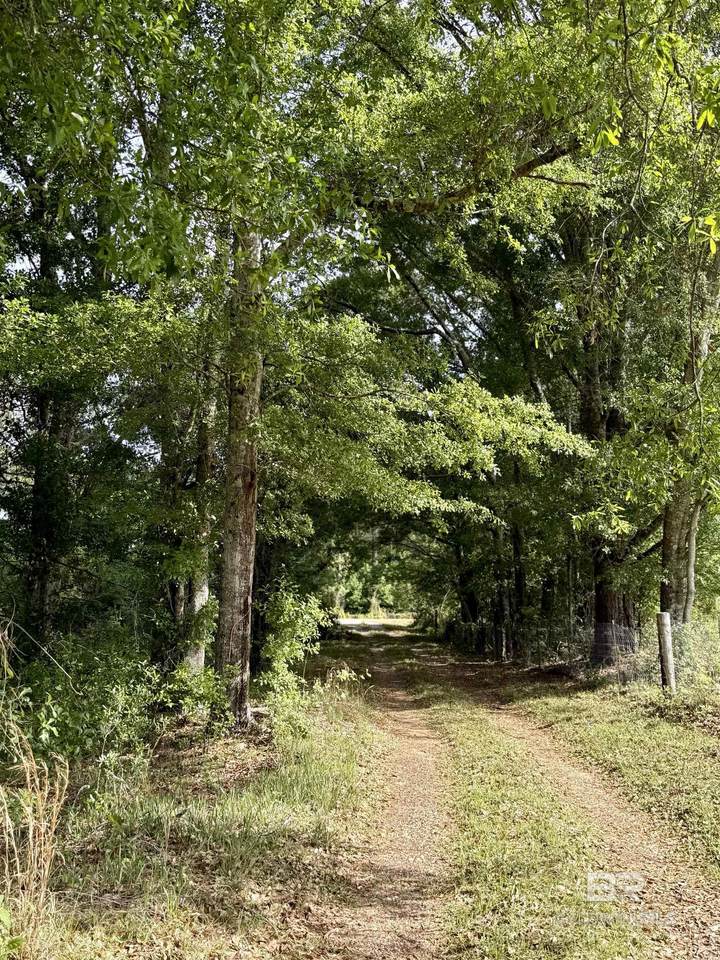 19160 County Road 68 - Photo 1