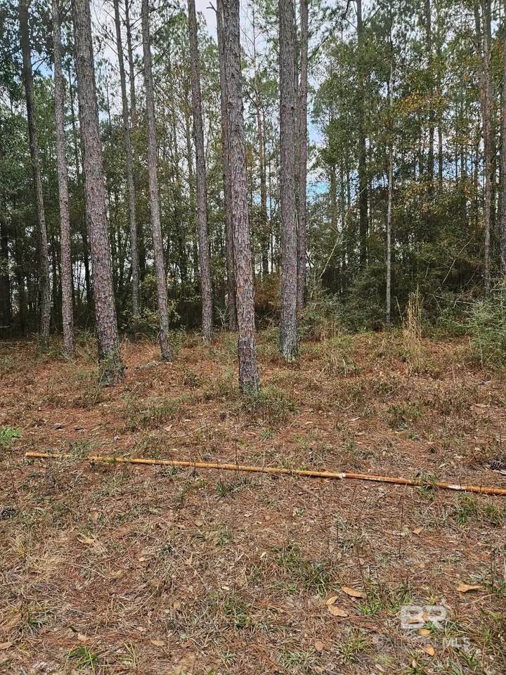 0 Gardner Road - Photo 1