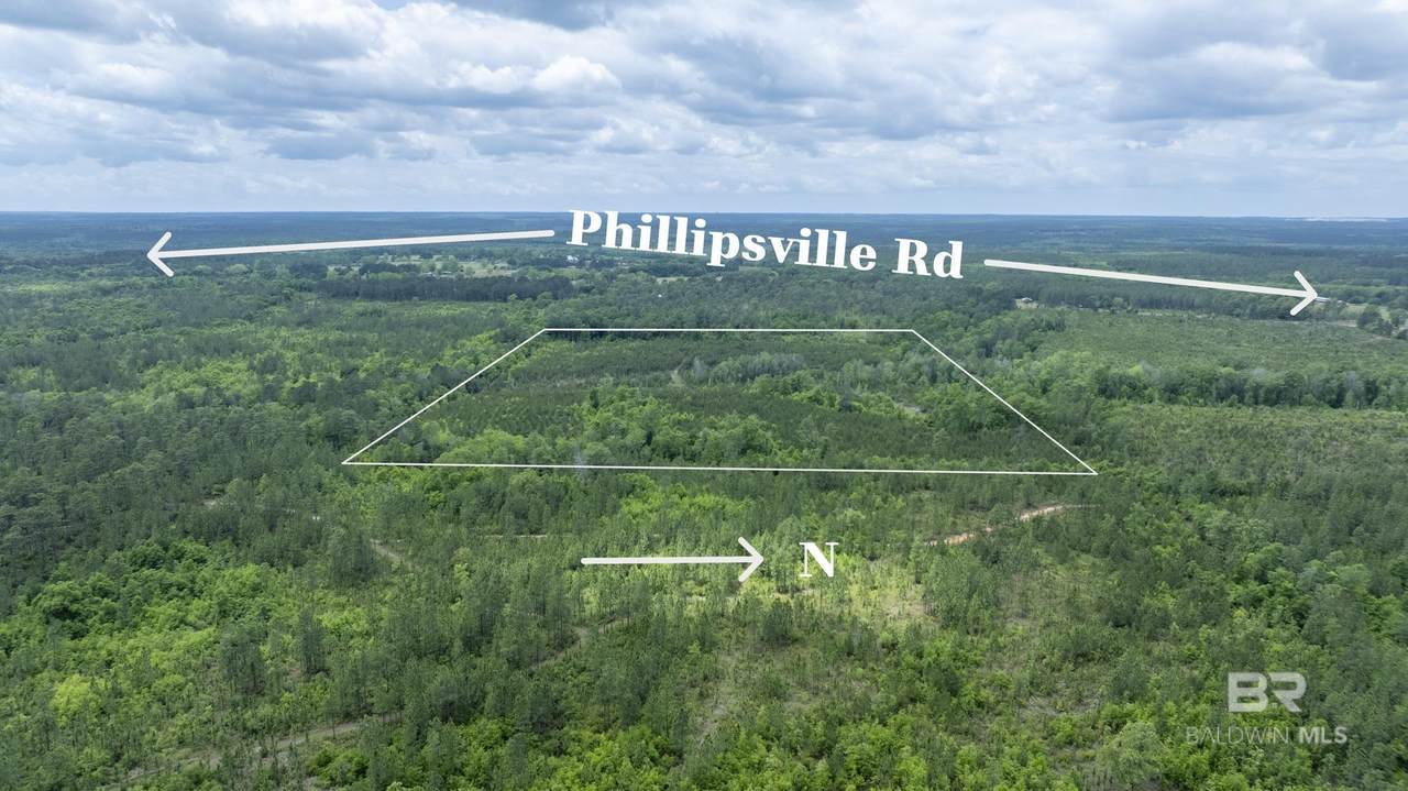 0 Phillipsville Road - Photo 1