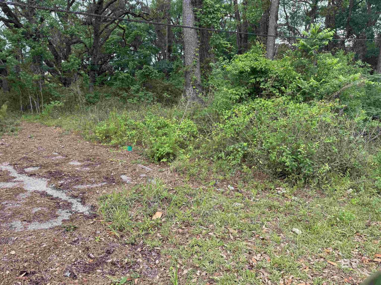 9050 Rice Creek Road - Photo 1