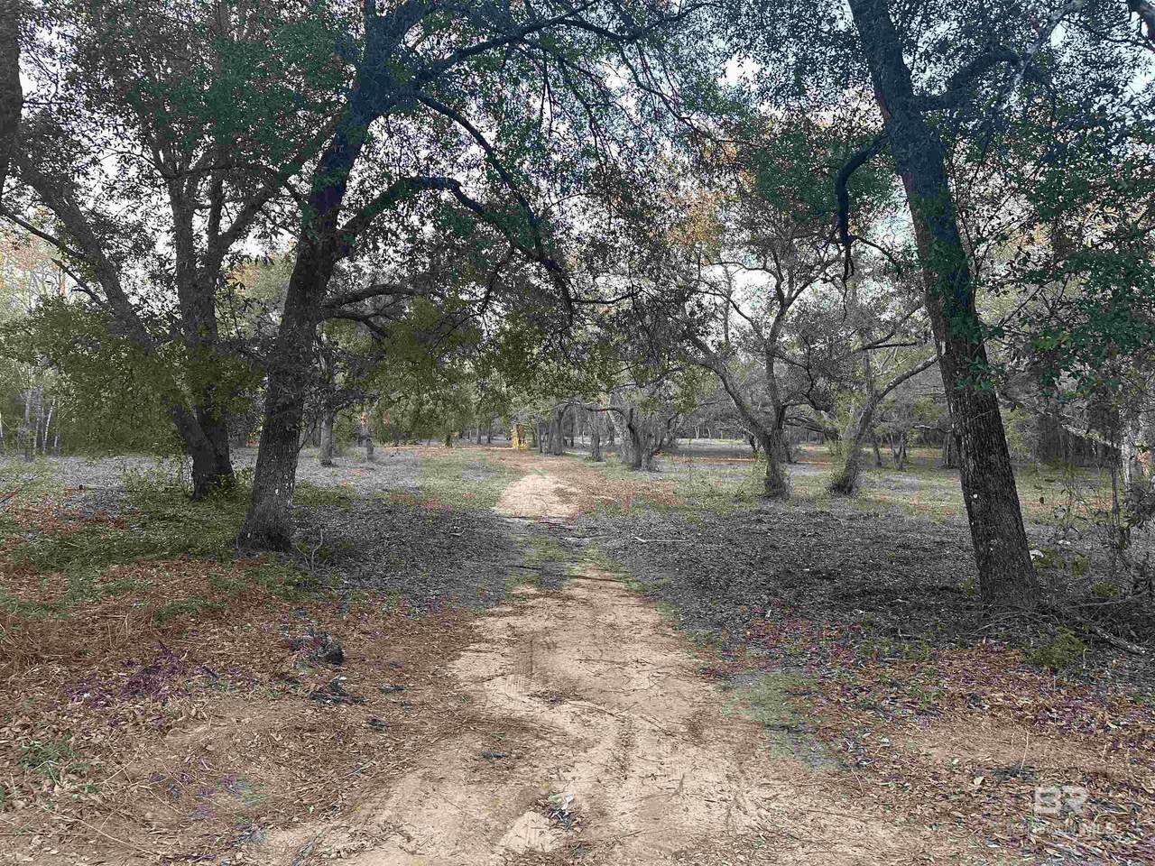 00 County Road 99 - Photo 1