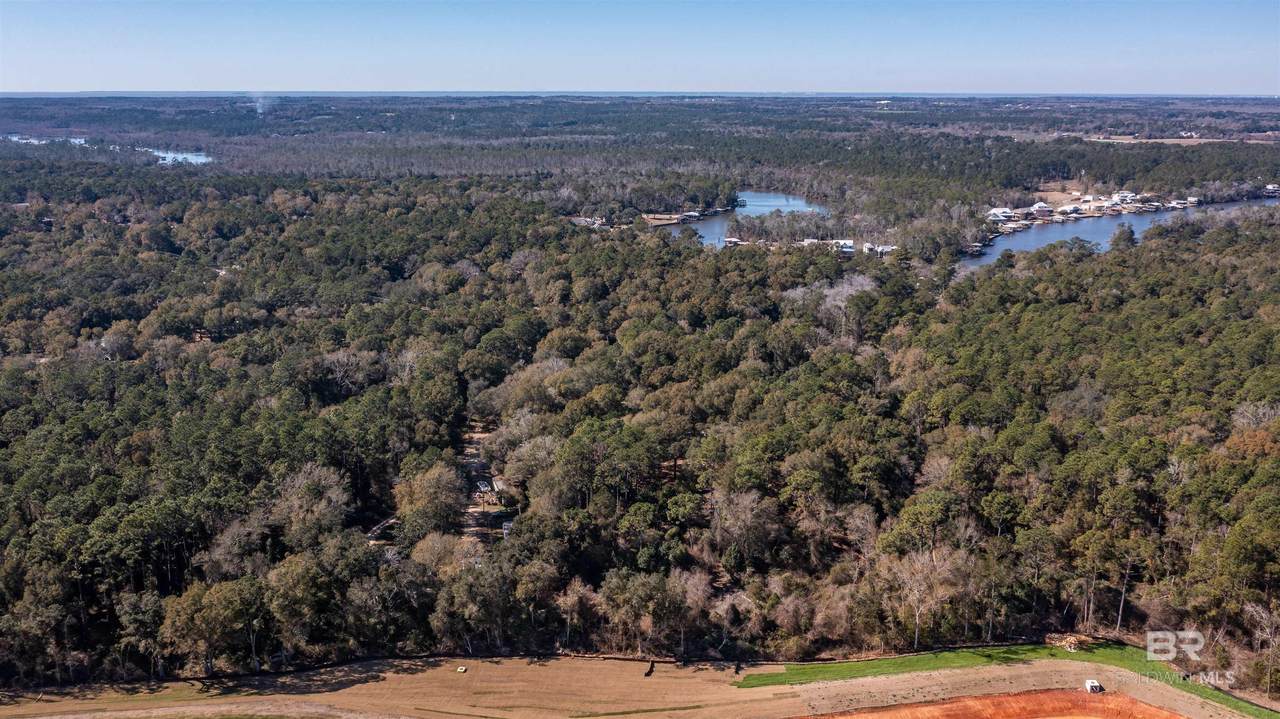 14842 County Road 9 - Photo 1