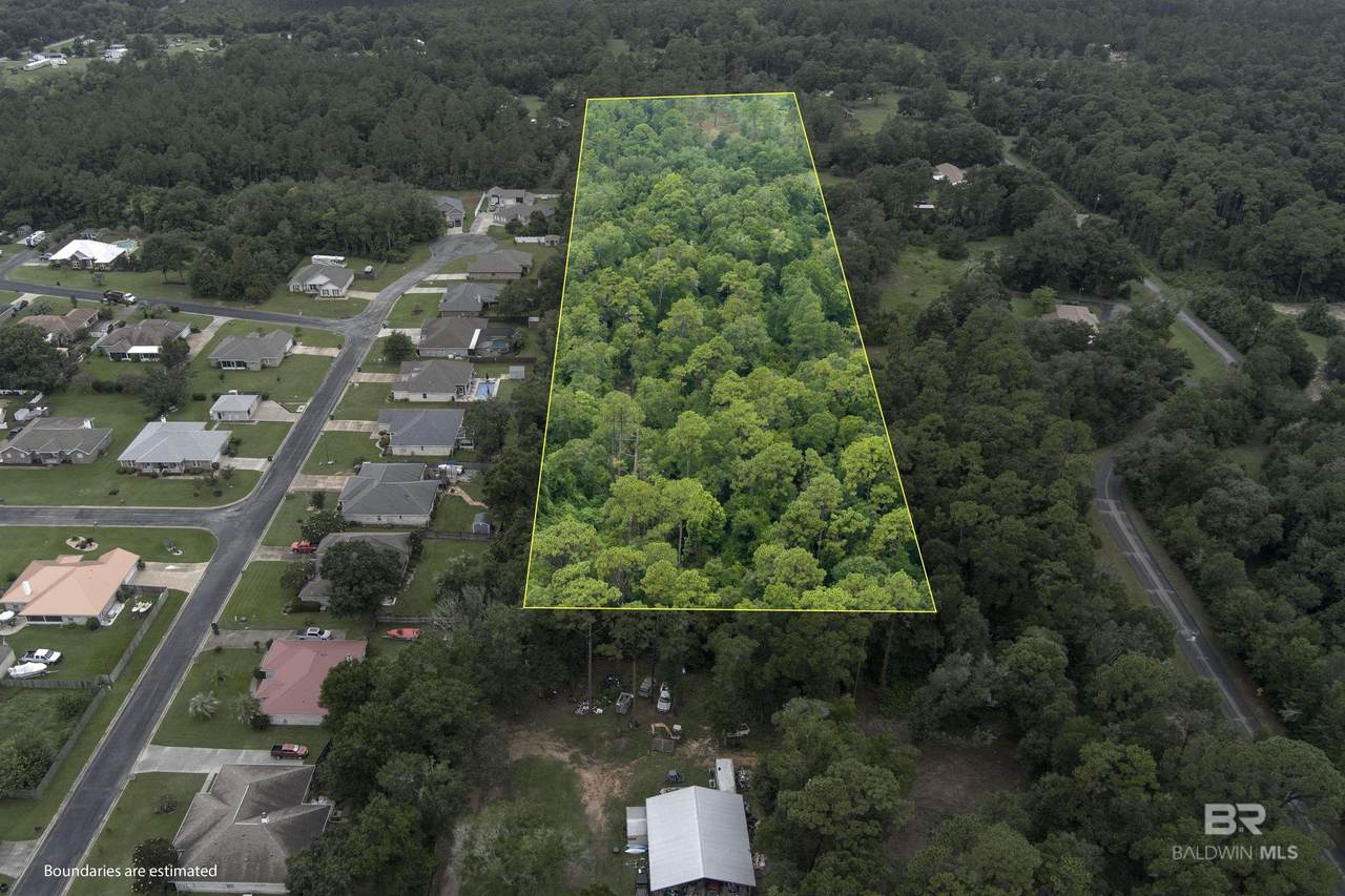 33003 Albert Hollon Lane - Photo 1