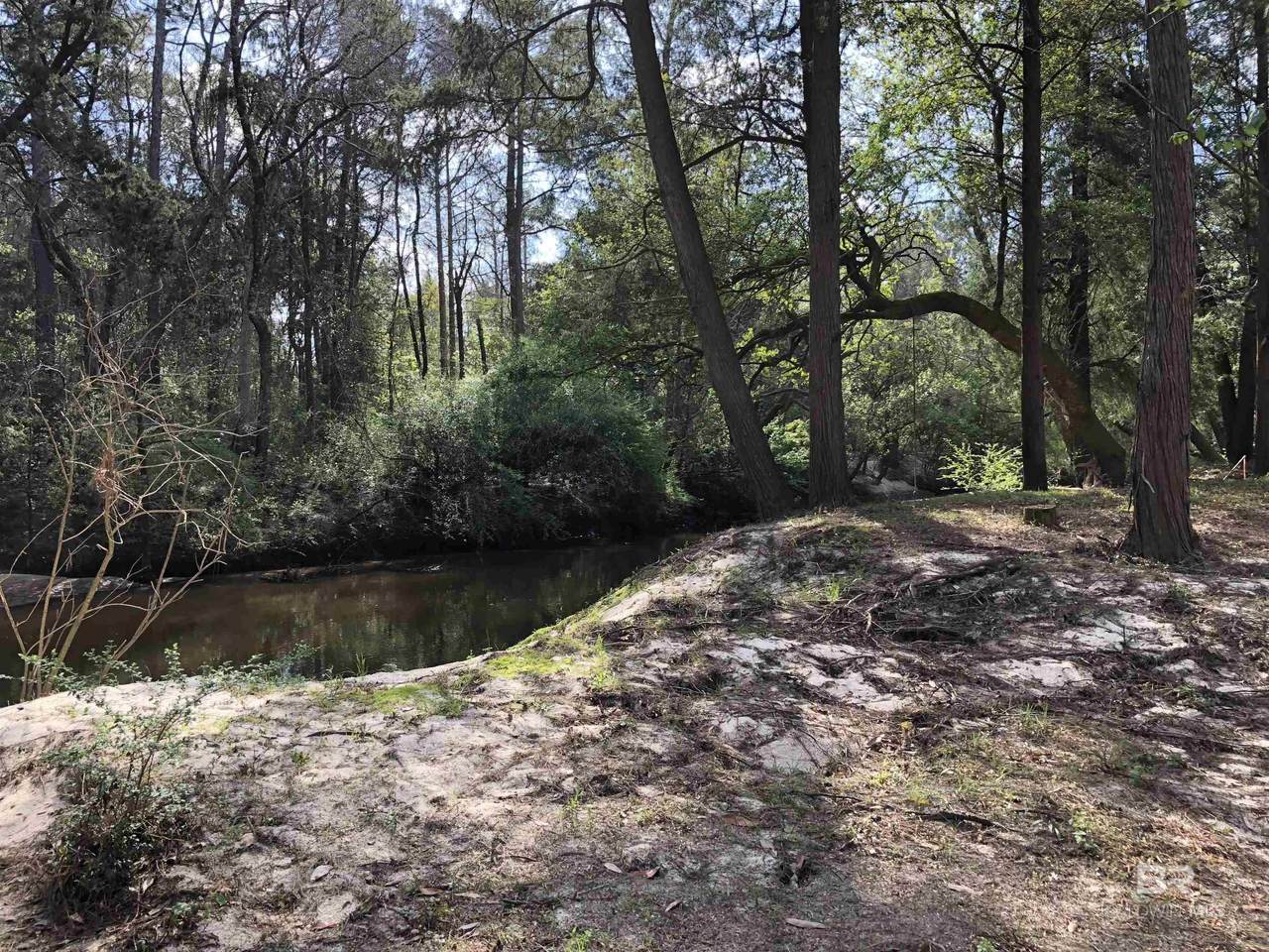 21305 River Road - Photo 1