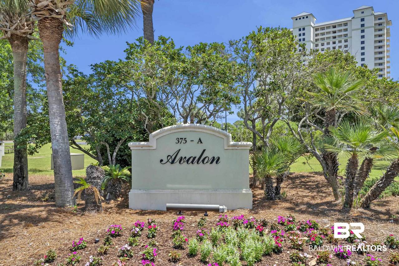 375 Beach Club Trail - Photo 1