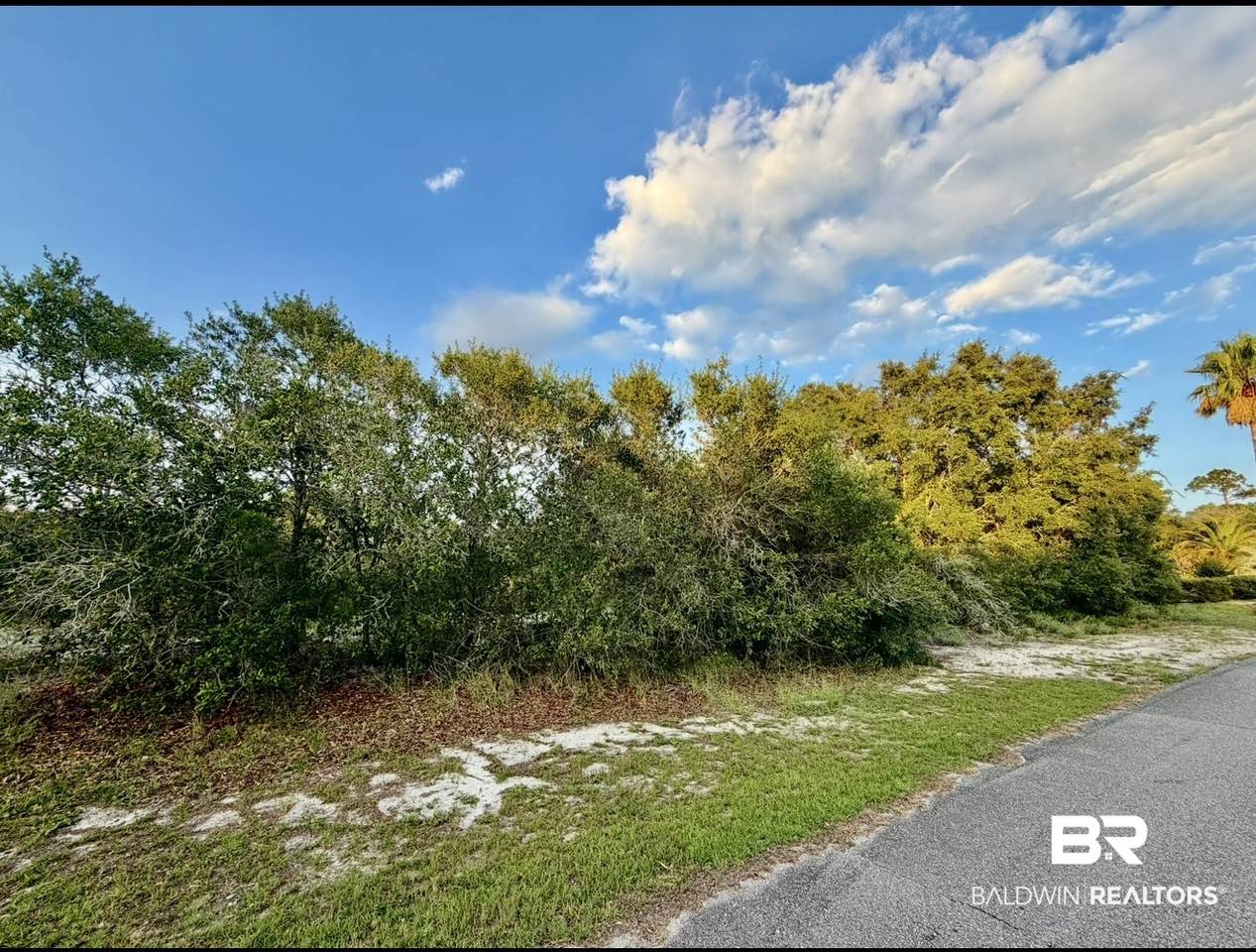 0 Harbour Dr - Photo 1
