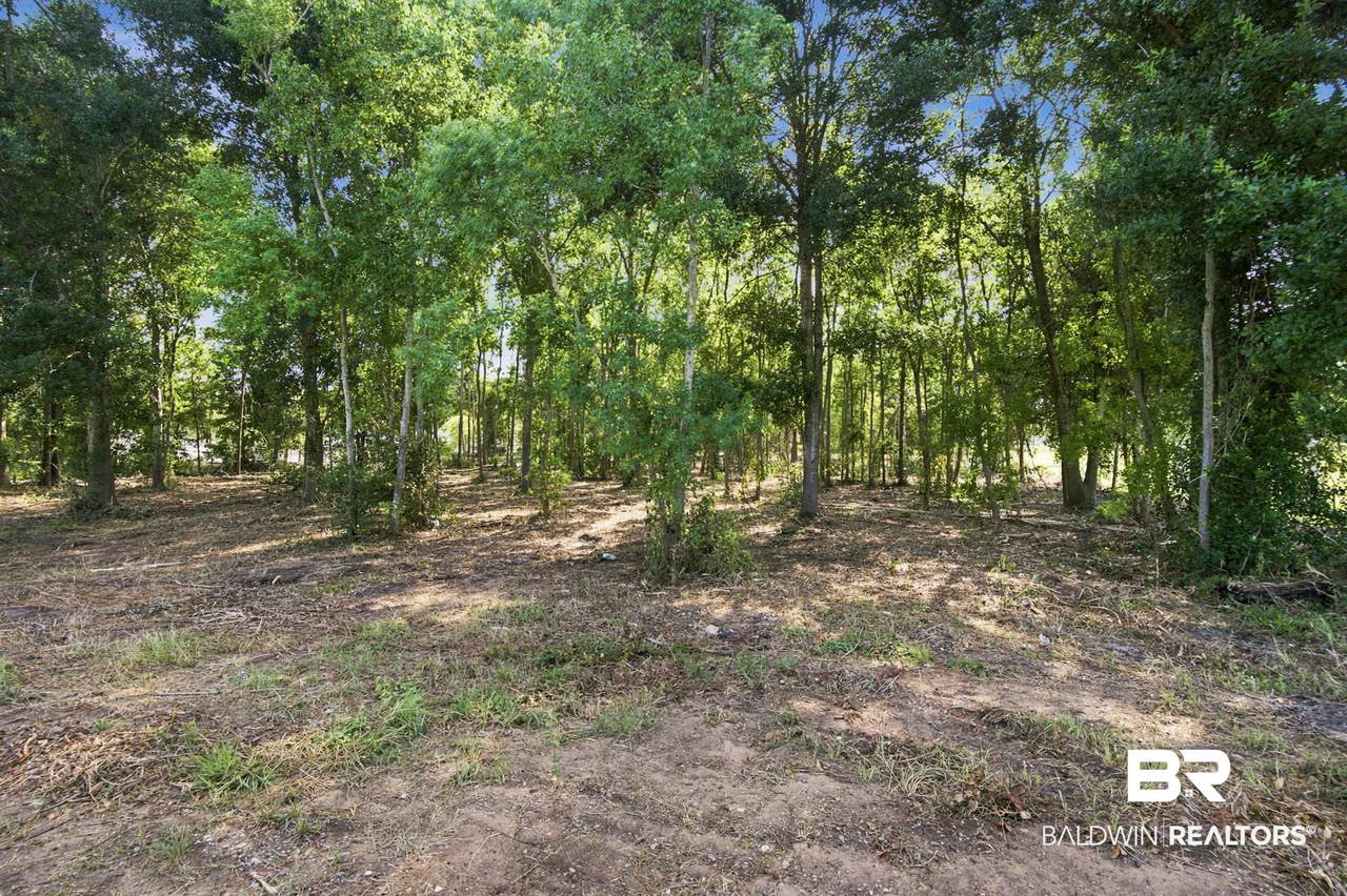 3417 Beltline Park Dr - Photo 1