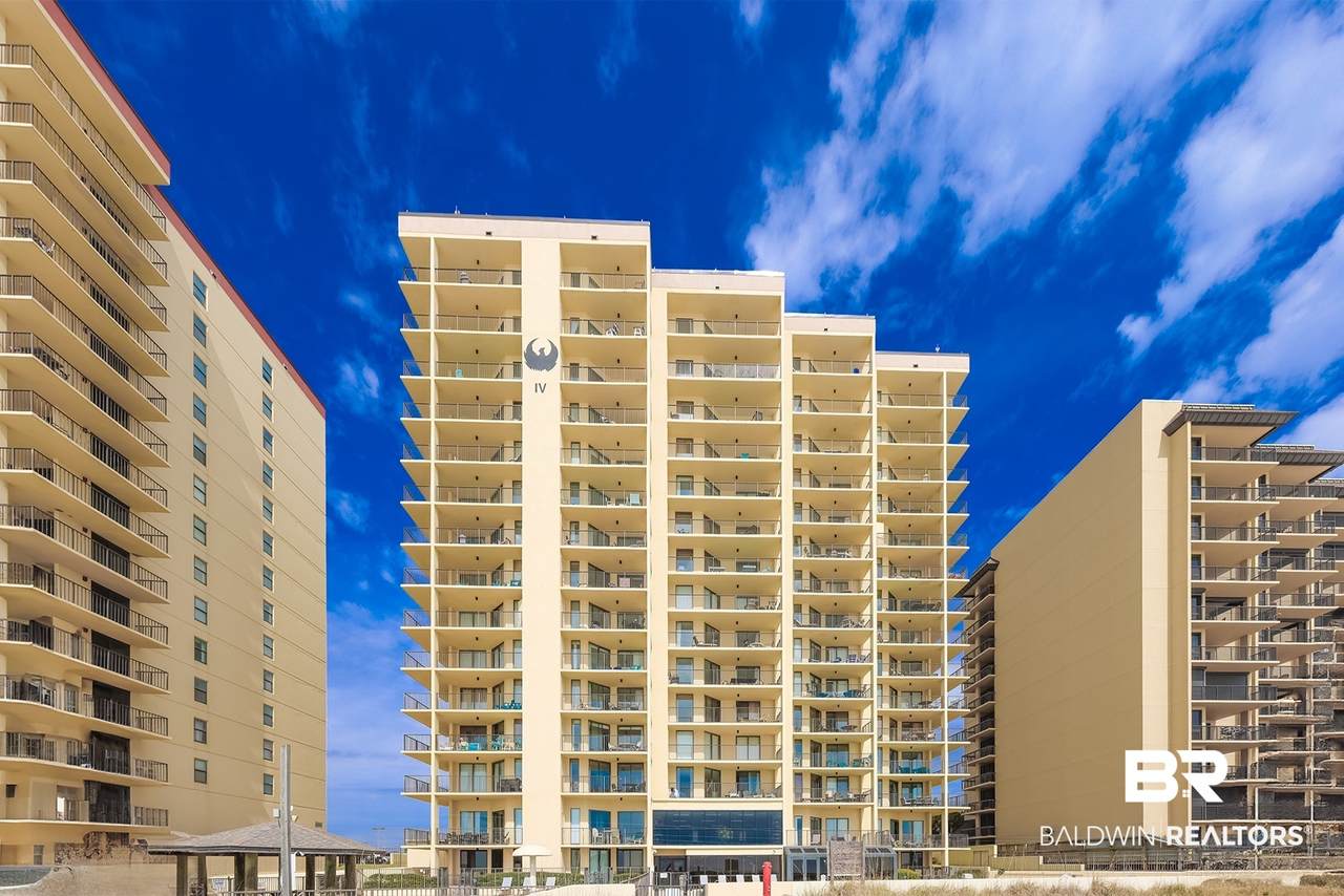 24250 Perdido Beach - Photo 1