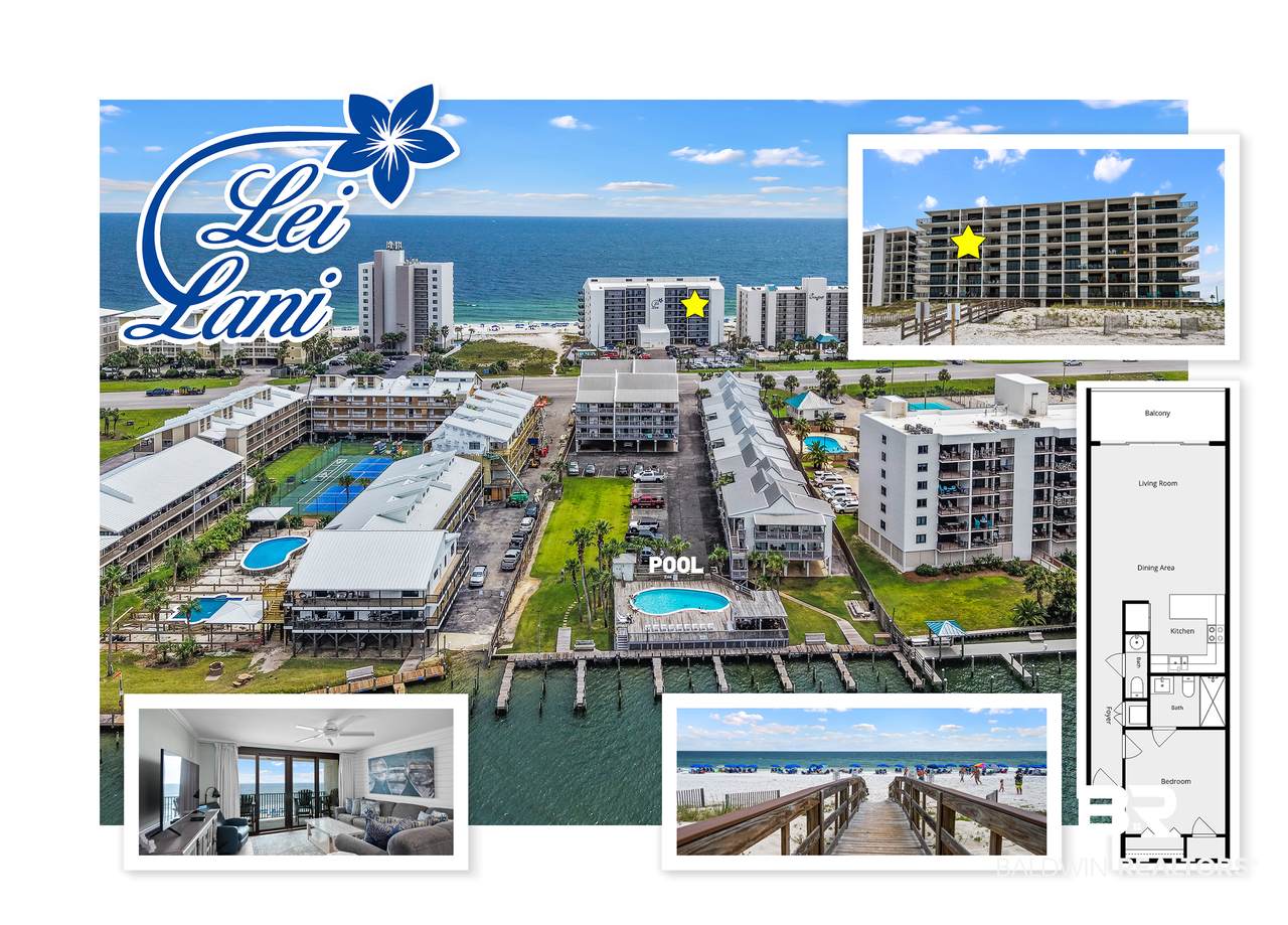 28814 Perdido Beach - Photo 1