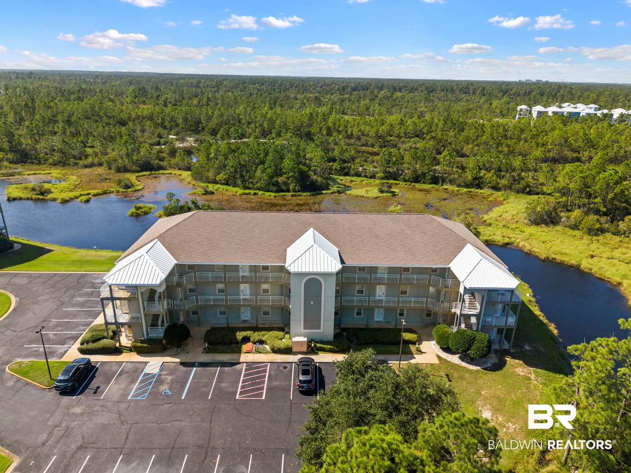 24101 Perdido Beach Boulevard - Photo 1