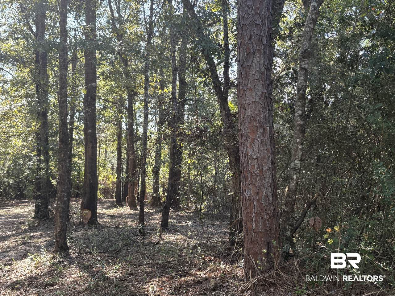 40703 County Road 39 - Photo 1