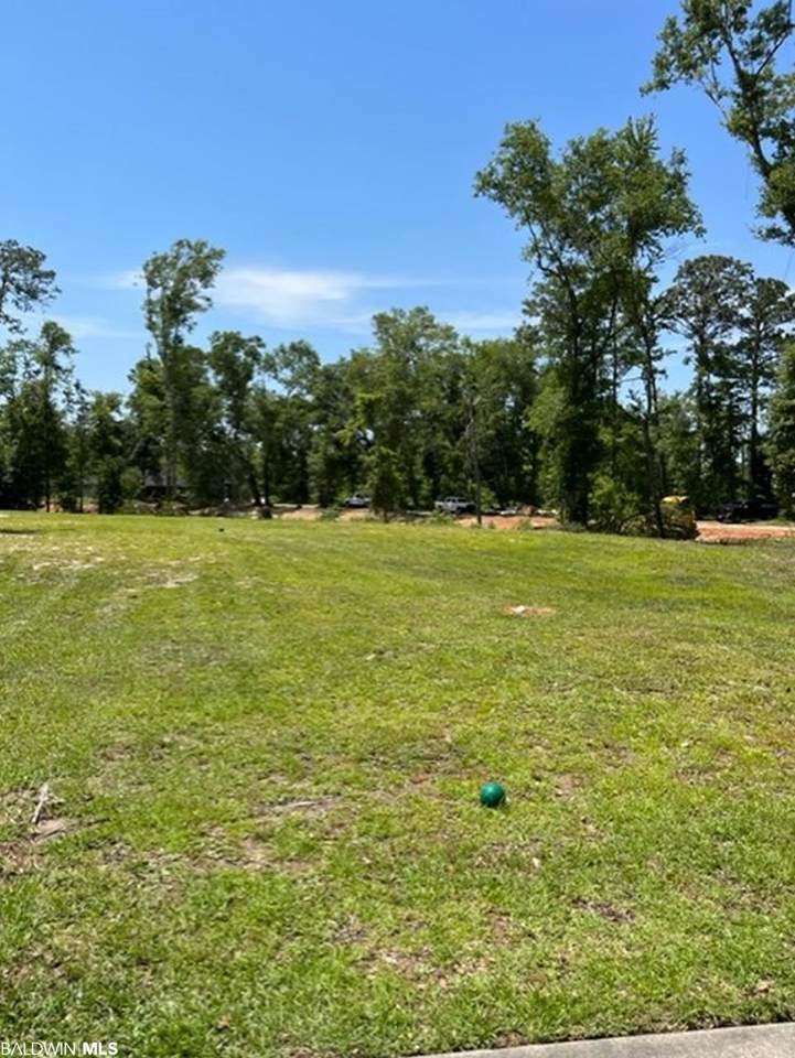17081 County Road 9 - Photo 1