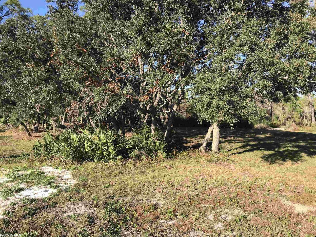 0 Pine Court - Photo 1