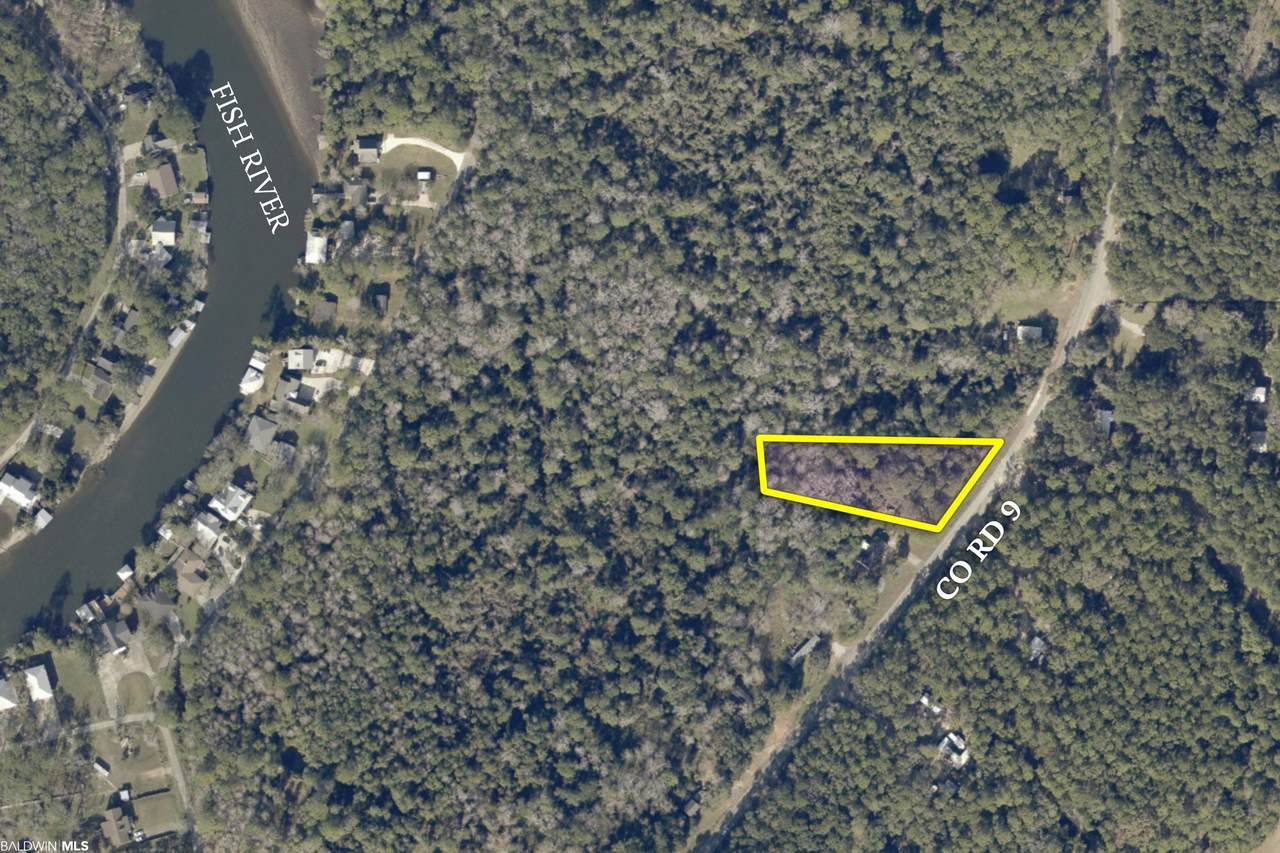 16495 County Road 9 - Photo 1