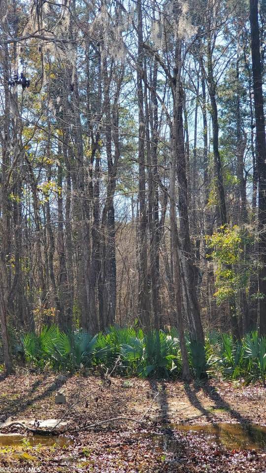 7820 Bryant Landing Road - Photo 1