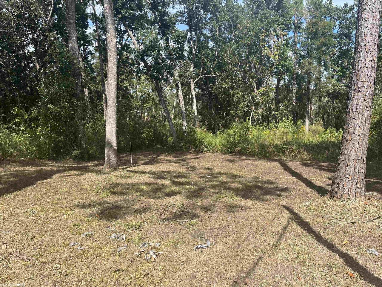 24875 Miflin Rd - Photo 1