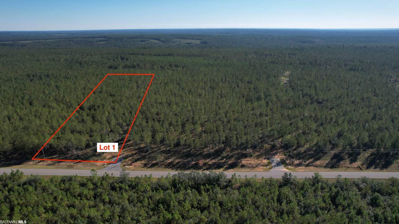 0 County Road 87 - Photo 1