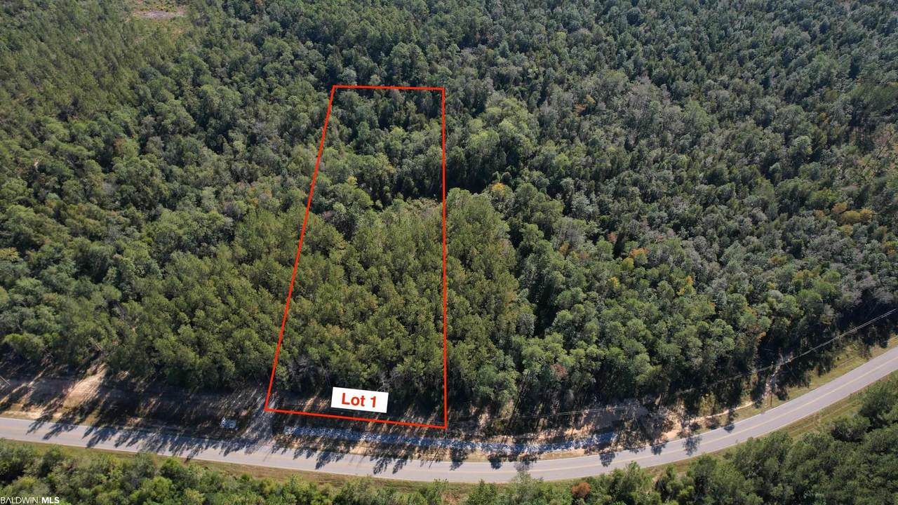 0 County Road 87 - Photo 1