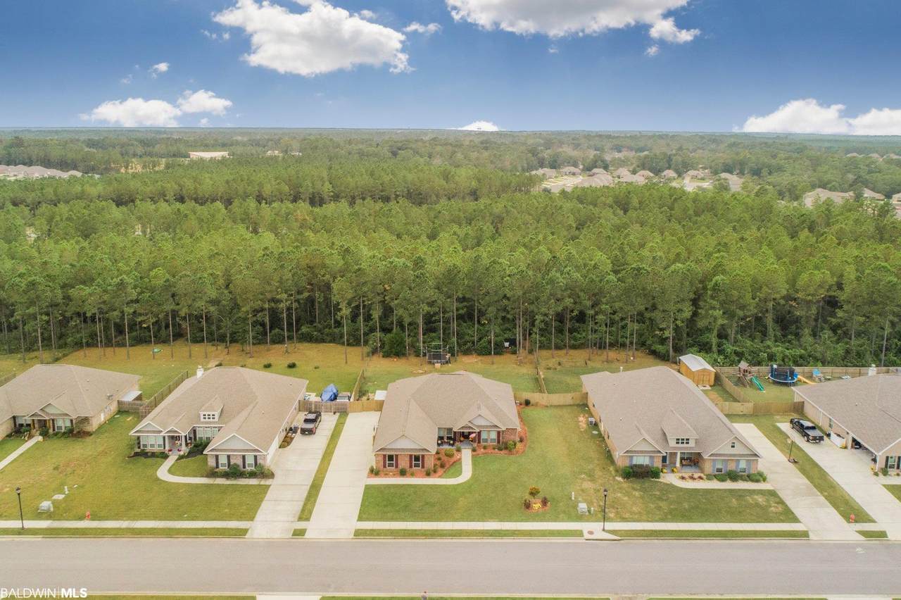 31399 Spoonbill Road - Photo 1