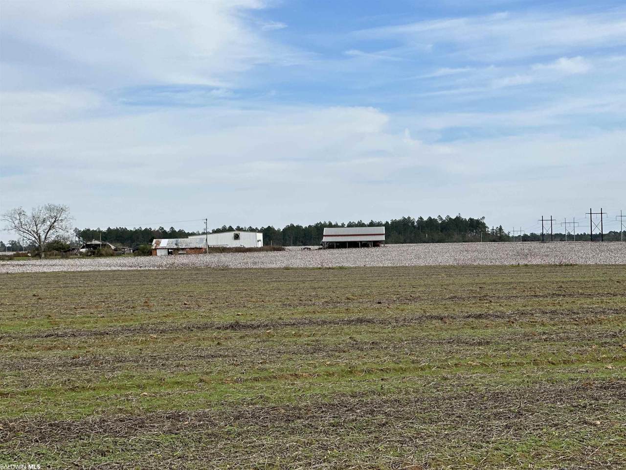 20260 County Road 48 - Photo 1