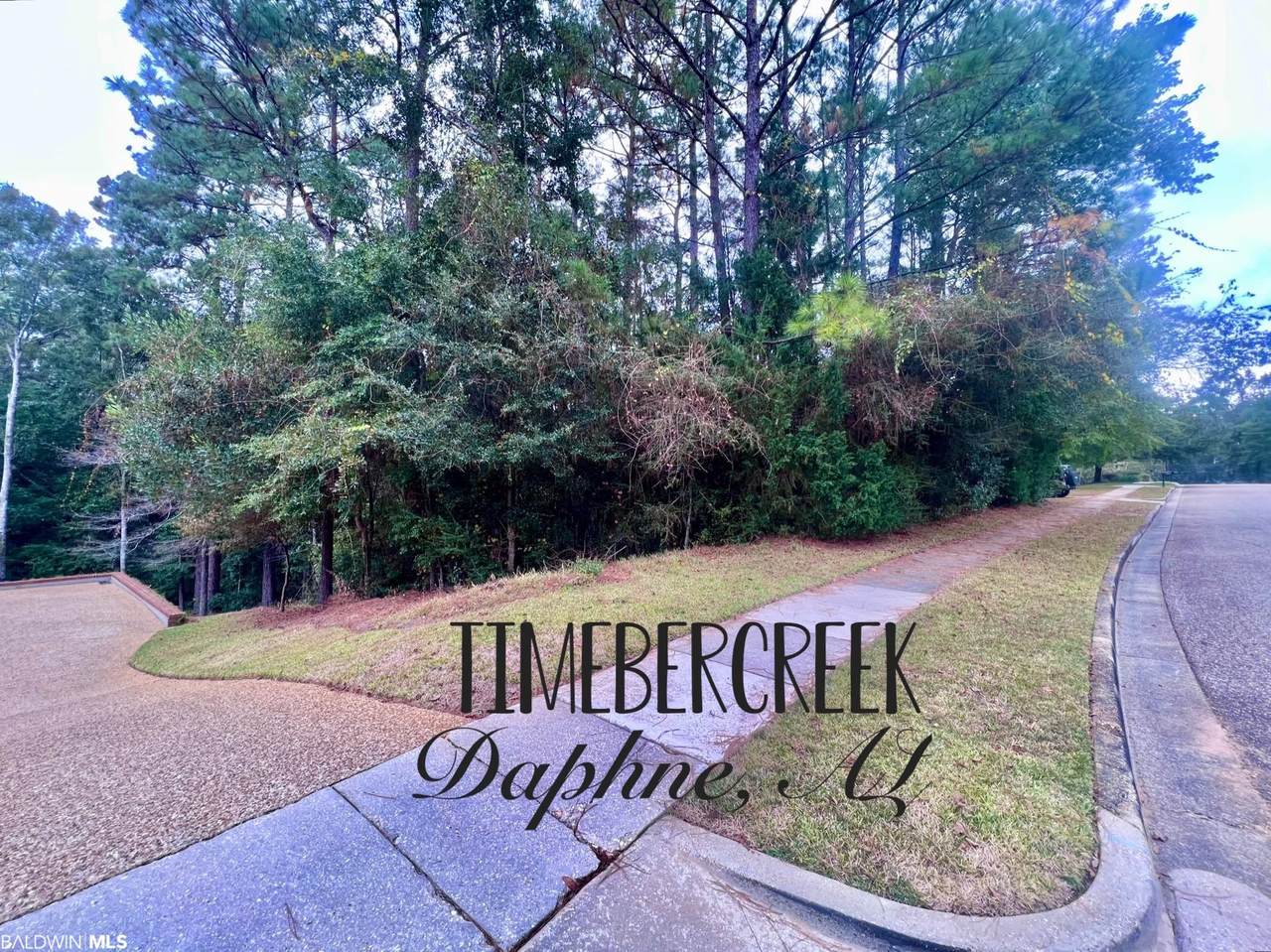 30531 Middle Creek Circle - Photo 1