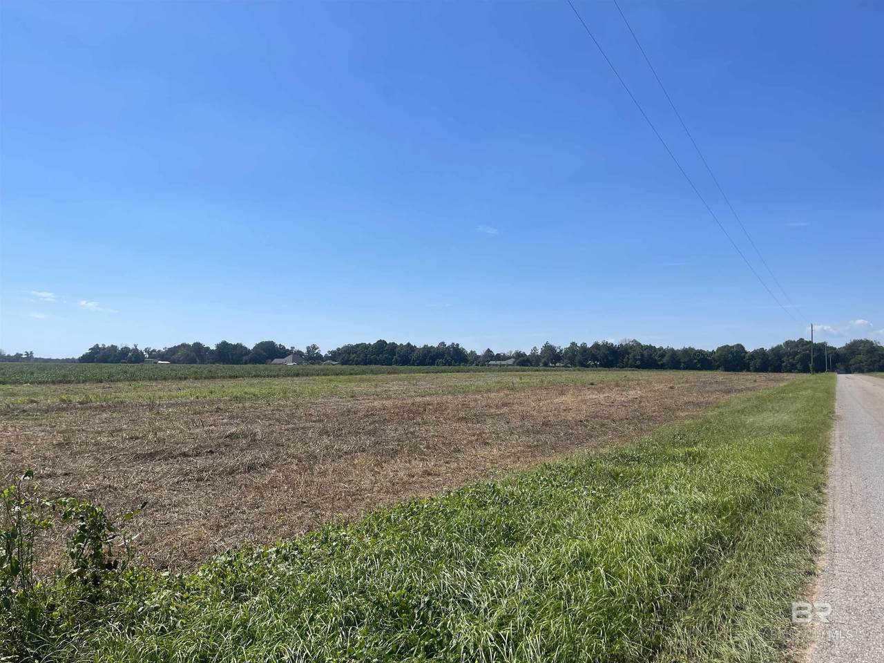 0 Woodhaven Dairy Road - Photo 1