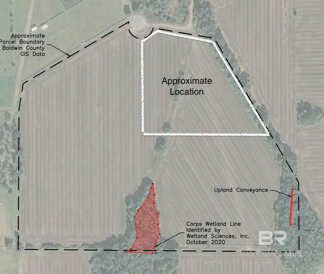 0 Horses-N-Hounds - Photo 1