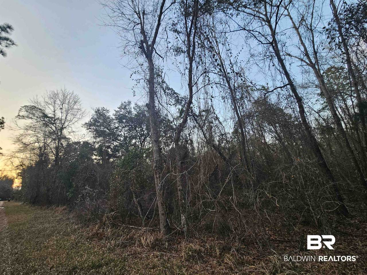 0 Lee Road - Photo 1