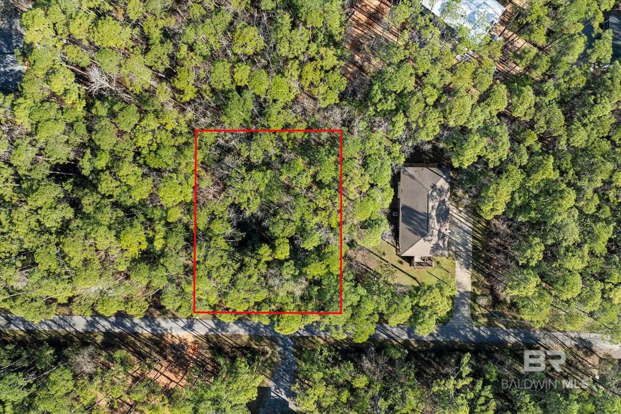 1112 Nanafalya Place - Photo 1