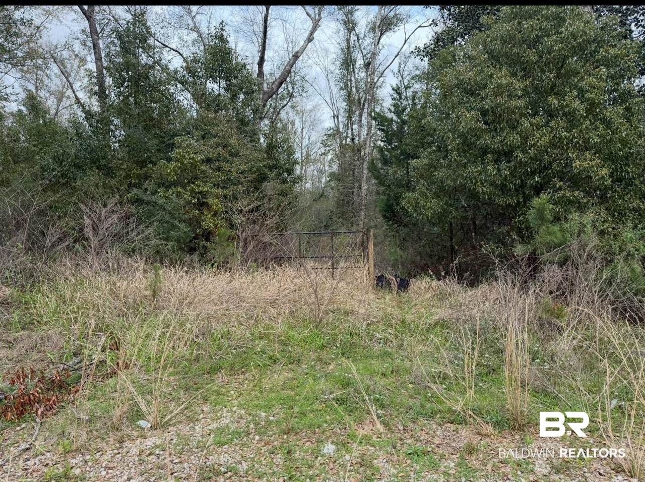 0 Corte Ridge Road - Photo 1