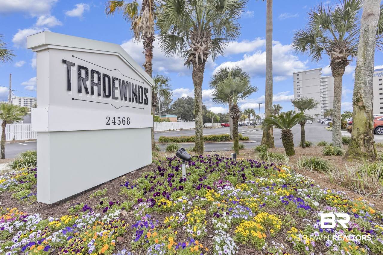 24568 Perdido Beach Boulevard - Photo 1