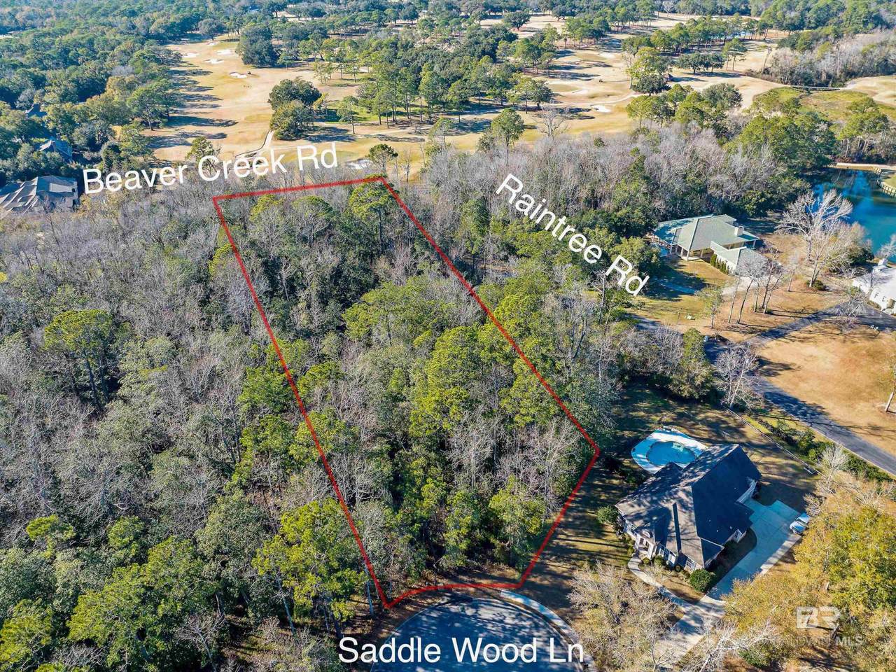 0 Saddlewood Lane - Photo 1