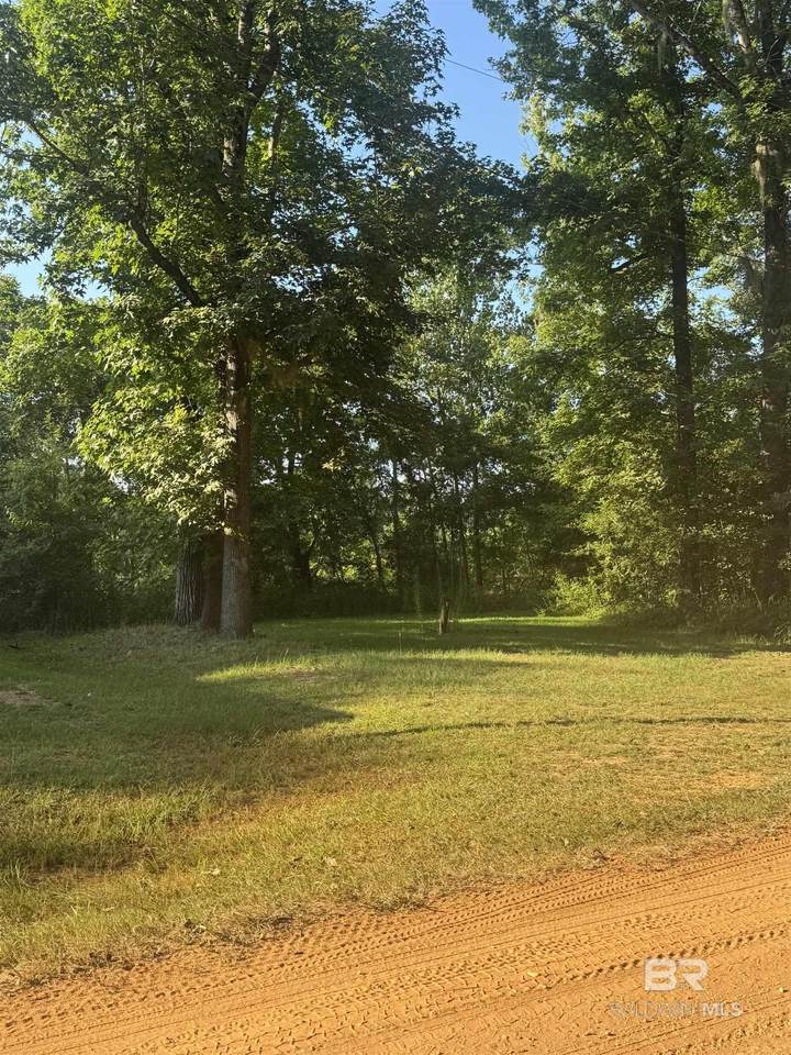 64 Eureka Landing Road - Photo 1