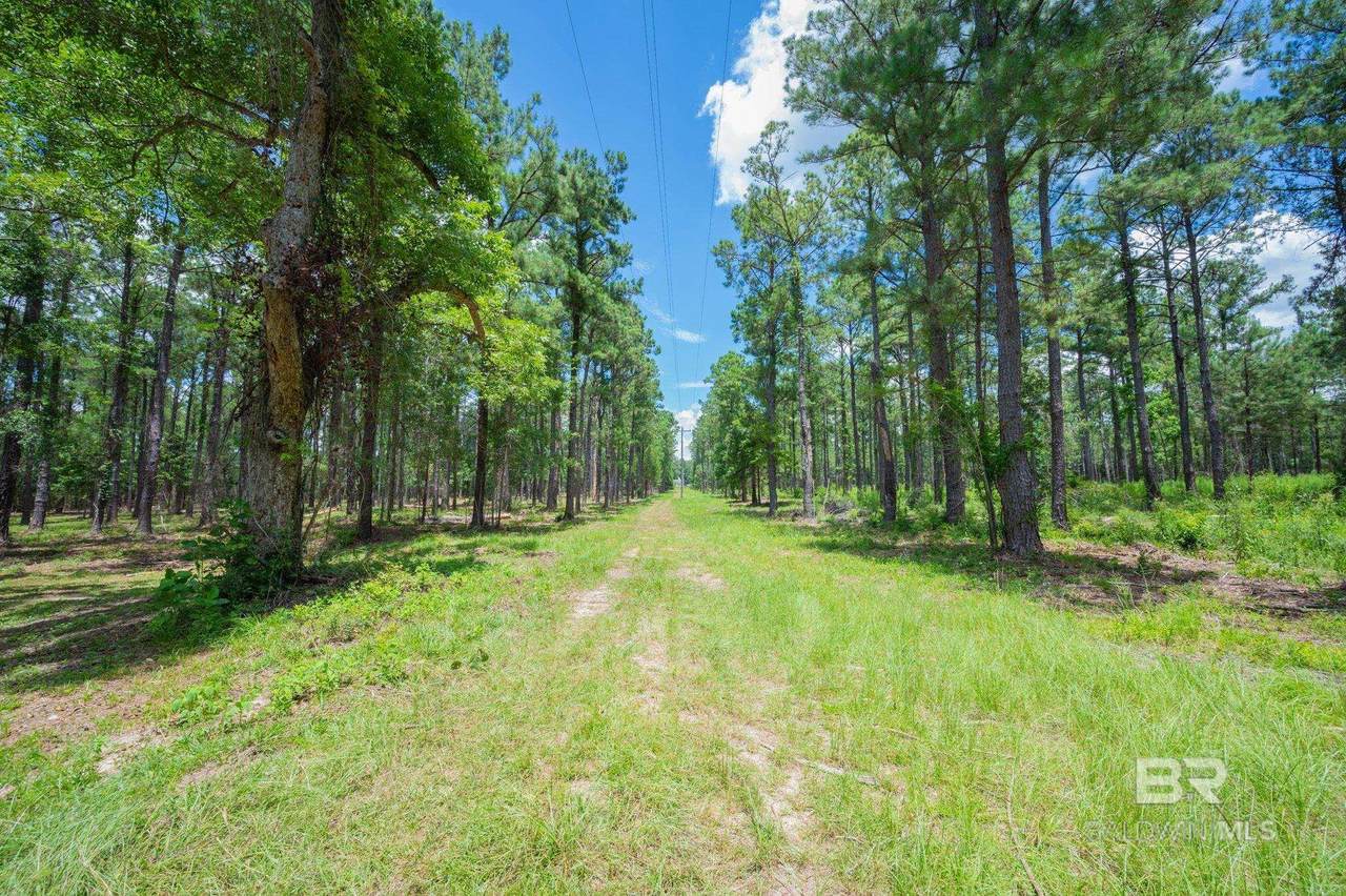 0 County Road 86 - Photo 1