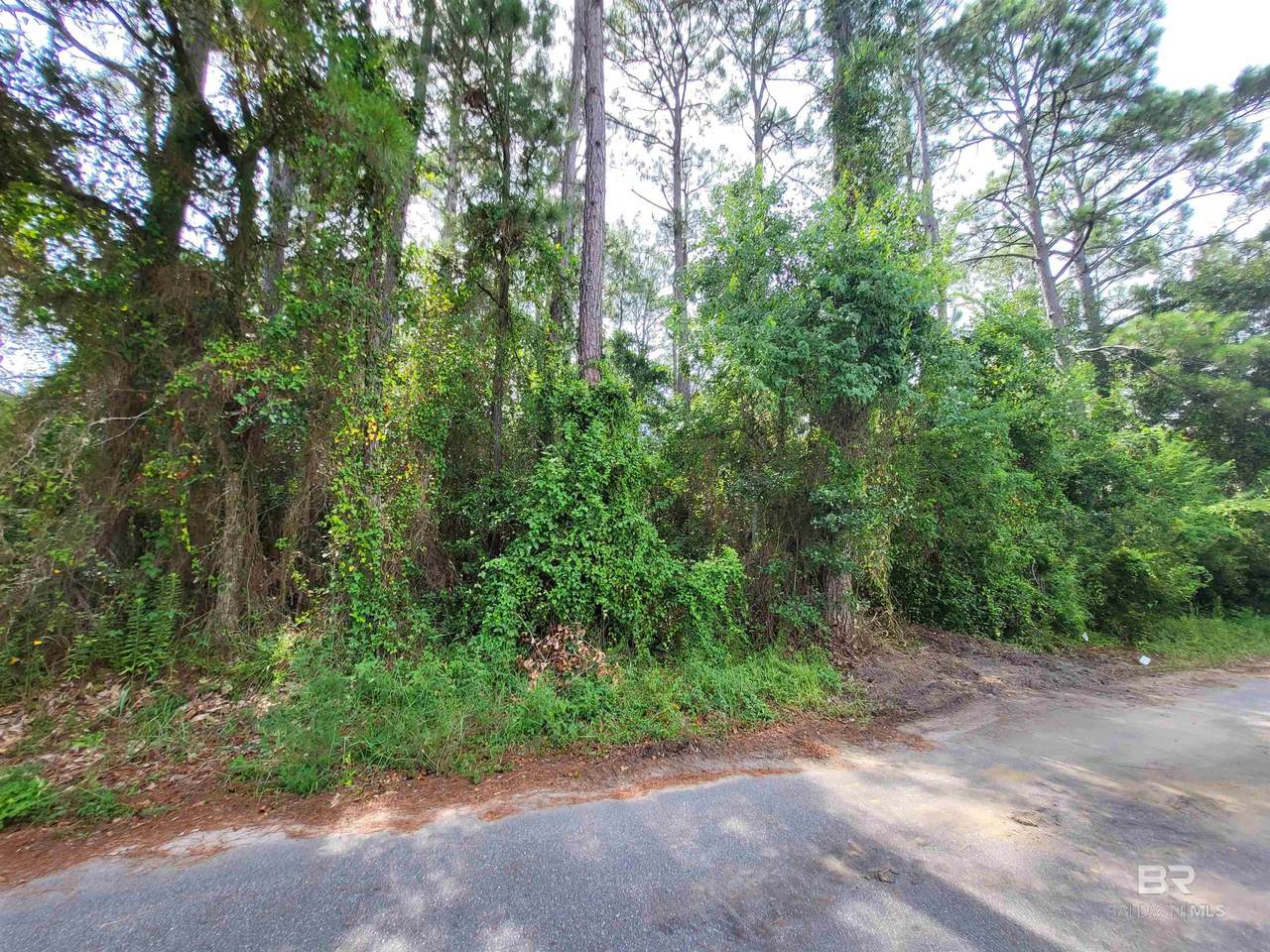 Lot 16 & 17 Wallace Circle - Photo 1