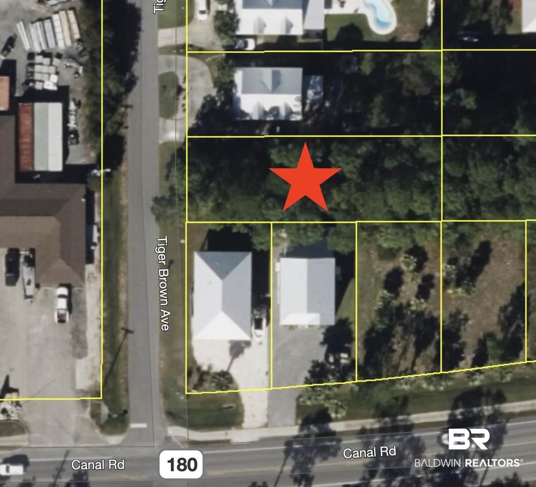 0 Tiger Brown Avenue - Photo 1