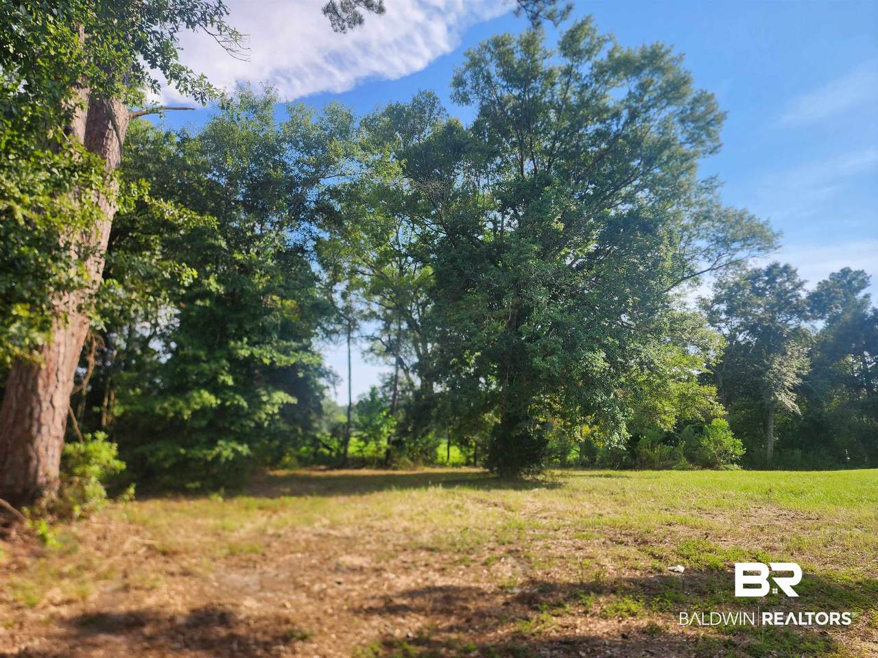35579 County Road 39 - Photo 1