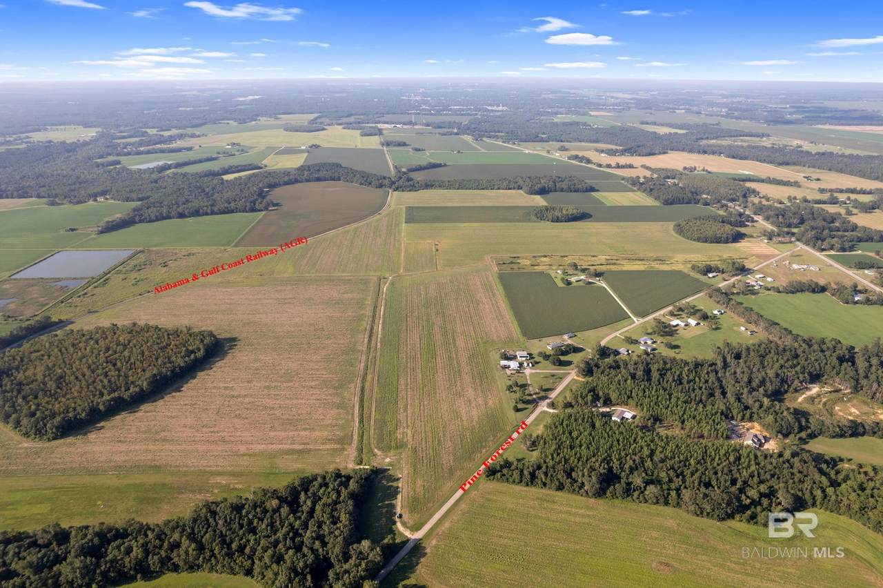 5700 Block Pine Forest Road - Photo 1