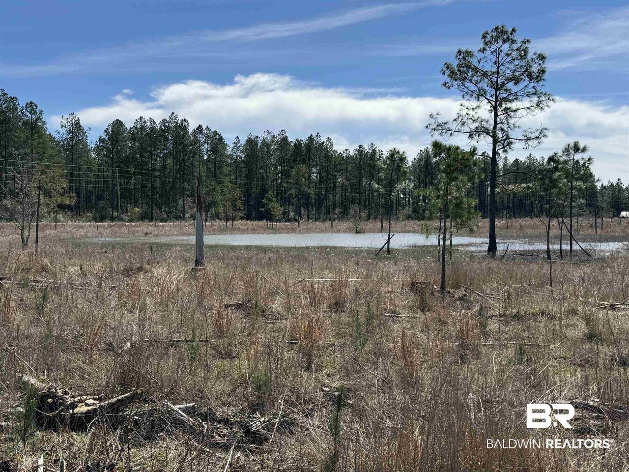 3 County Road 64 - Photo 1
