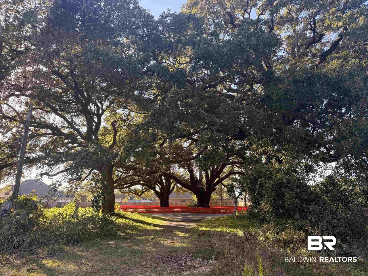 919 Hickory Street - Photo 1