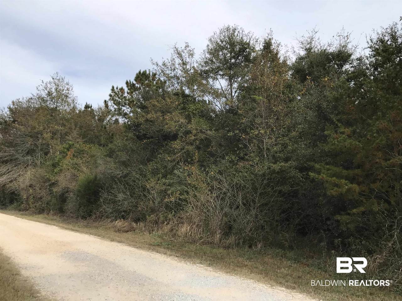 24050 River Road - Photo 1